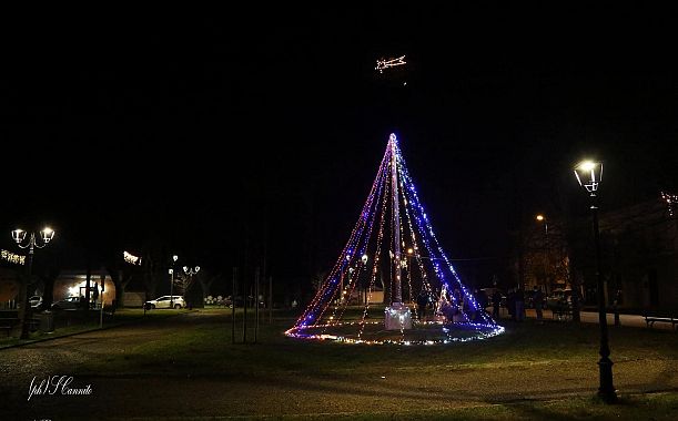 L'albero a San Giovanni alla Vena