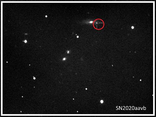 La nuova Supernova, cerchiata di rosso