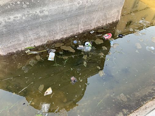 I rifiuti nell'acqua stagnante 1